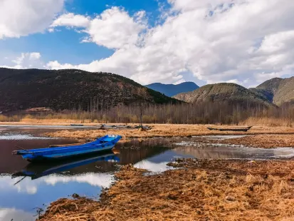 בובי קזינו אפליקציה לנייד